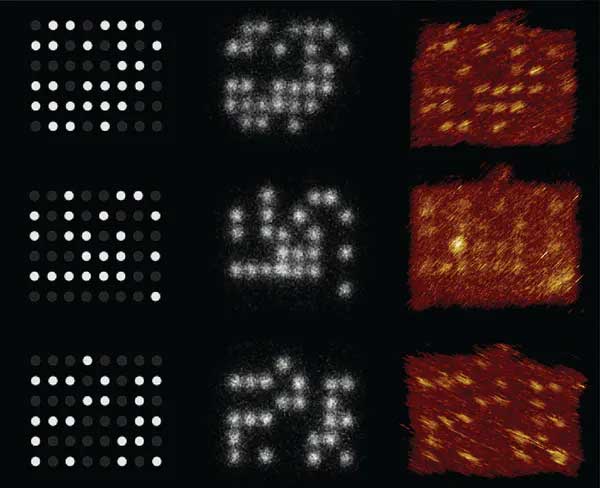 light-emitting DNA strands (. Nucleic Acid Memory Institute at Boise State University, CC BY-ND)